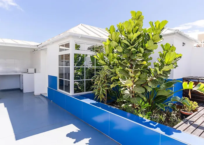 Neon Tenerife ゲストハウス