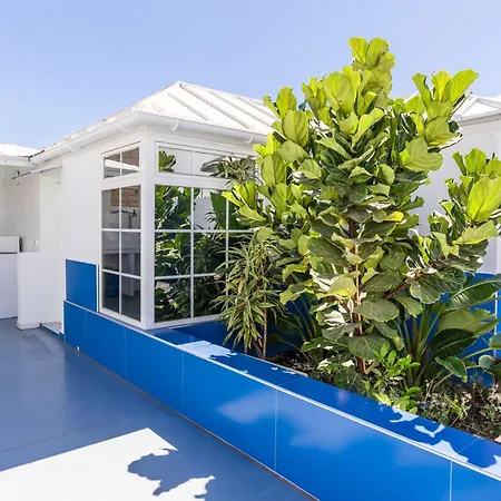 Neon Tenerife בית הארחה